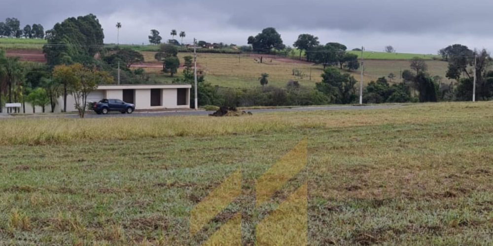 354561392_1441586479936278_5031836157791446671_n