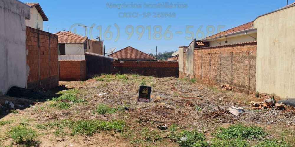 377879127_1488020135292912_1038819002626644089_n