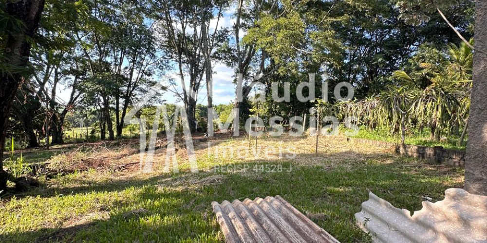 Design sem nome (33)