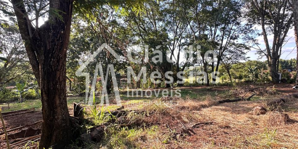 Design sem nome (34)