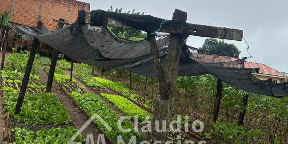 Design sem nome.zip - 1