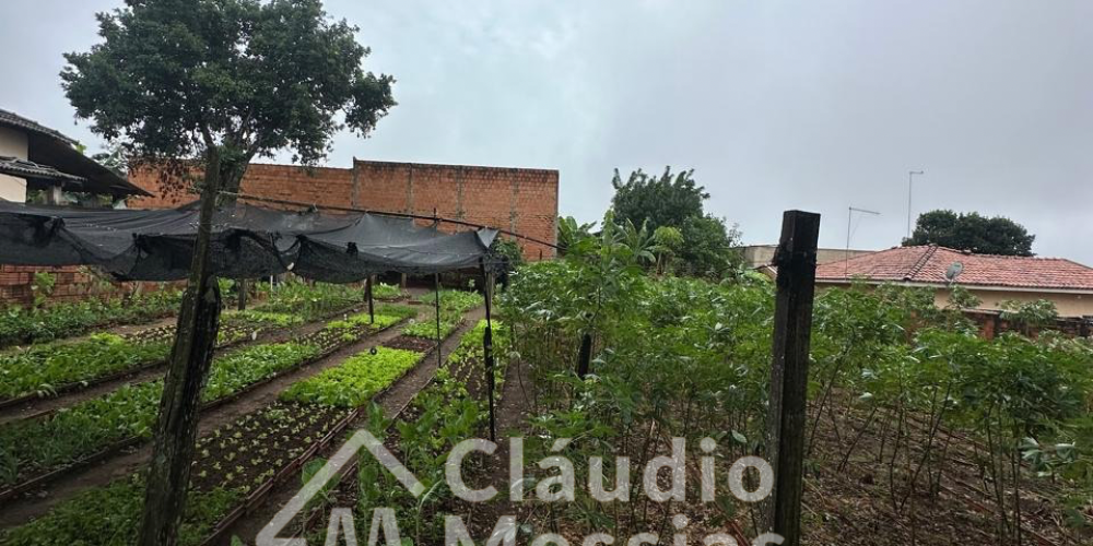 Design sem nome.zip - 1