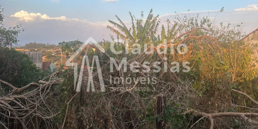 Design sem nome.zip - 1